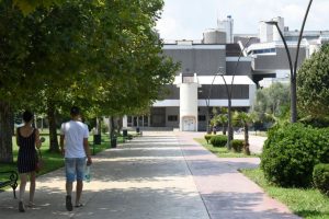 Как поступить в университет Черногории - пошаговое руководство для иностранных студентов